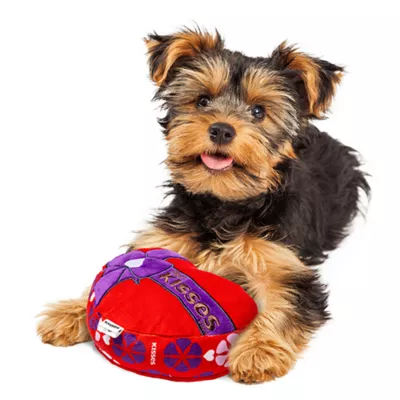 Product Joyhound® Valentines Day Hershey Kiss Candy Box Dog Toy