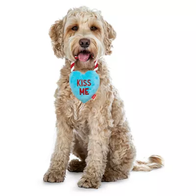 Product Joyhound® Valentines Day Sweetheart Kiss Me Rope Toy