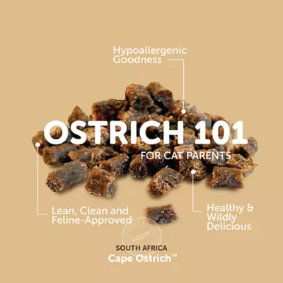 ROAM® Ossy-Nibs Cat Treats - Cape Ostrich, 0.7 Oz - Image 3