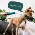 WOOF Nomchucks Dog Toy image thumbnail 8