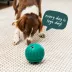 WOOF Walkabout Treat Dispensing Dog Toy image thumbnail 8