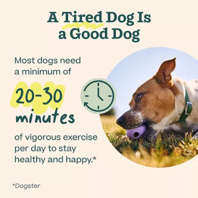 Product Woof Walkabout Dog Toy