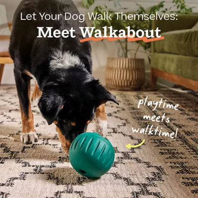 Product Woof Walkabout Dog Toy