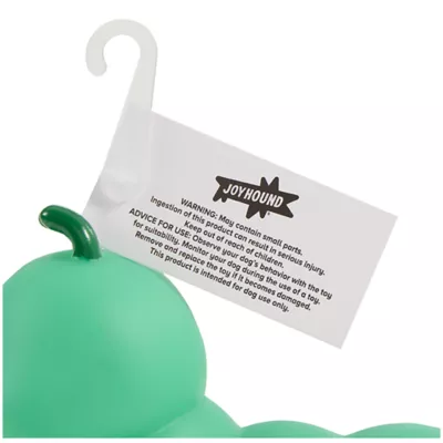 Product Joyhound® Vinyl Caterpillar Dog Toy