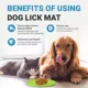 Product Jespet Licking Mat 3-PK