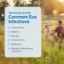 Terramycin Ophthalmic Ointment for Dogs, Cats & Horses - (3.5-g) Tube image thumbnail 4
