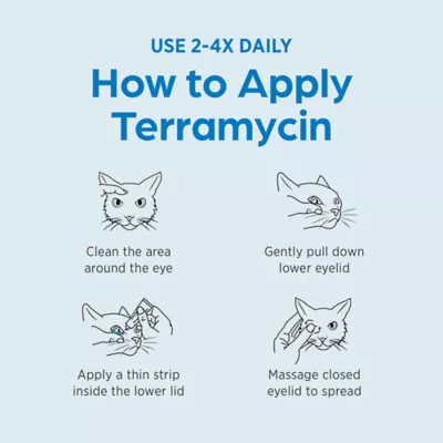 Terramycin Ophthalmic Ointment for Dogs, Cats & Horses - (3.5-g) Tube - Image 6
