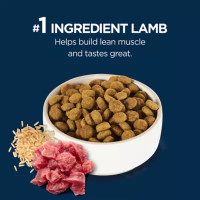 Authority Everyday Health Puppy Dry Dog Food - Lamb & Rice - Image 4