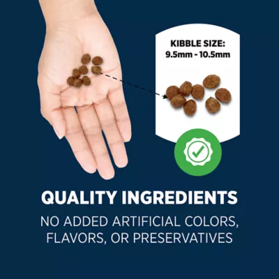 Authority Everyday Health Puppy Dry Dog Food - Lamb & Rice - Image 5