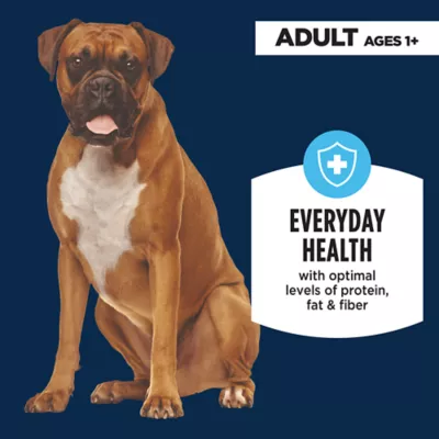 Authority Everyday Health Adult Wet Dog Food - Chicken & Beef, 12 Pack - Image 2