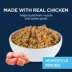 Authority Homestyle Adult Wet Dog Food - Minced Chicken, 13 oz image thumbnail 3