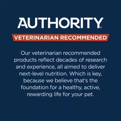 Authority Homestyle Adult Wet Dog Food - Minced Chicken, 13 oz - Image 5