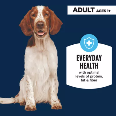 Authority Homestyle Adult Wet Dog Food - Minced Turkey, 13 oz - Image 2