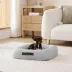 Arlee Home & Pet Bumper Box Memory Foam Pet Bed image thumbnail 2