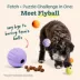 WOOF Flyball Treat Dispensing Dog Toy image thumbnail 3