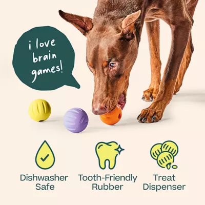 Product WOOF Flyball Treat Dispensing Dog Toy