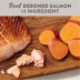 Simply Nourish® Limited Ingredient Diet Adult Dry Dog Food - Salmon & Sweet Potato image thumbnail 3