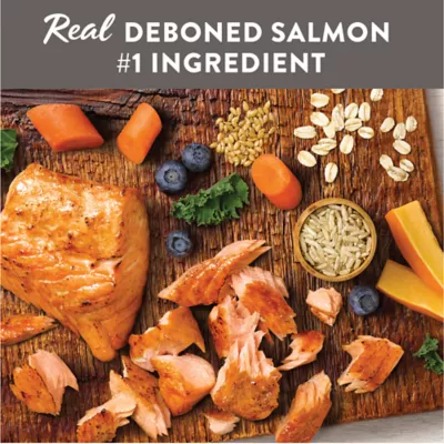 Simply Nourish Original Adult Dry Dog Food - Salmon & Brown Rice - Image 3