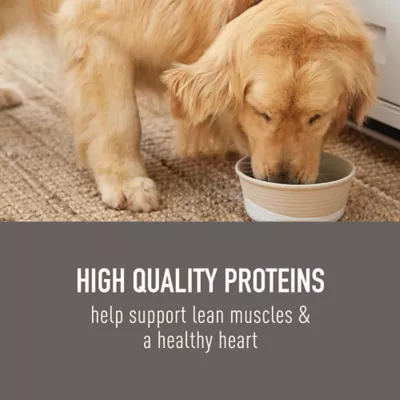 Simply Nourish Original Adult Dry Dog Food - Salmon & Brown Rice - Image 4