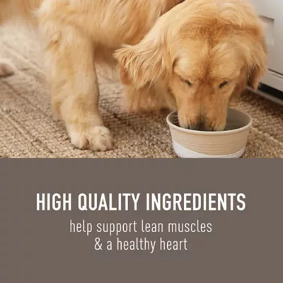 Simply Nourish Homestyle Adult Wet Dog Food - 9 oz - Image 3