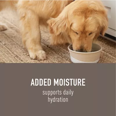 Simply Nourish Original Adult Dog Meal Toppers - Bone Broth, 8 oz - Image 3