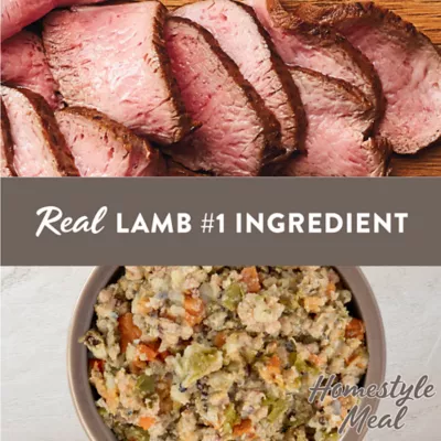 Simply Nourish Homestyle Adult Wet Dog Food - Complete Meal or Meal Topper, 9 oz - Image 2