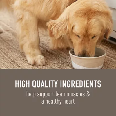 Simply Nourish Original Adult Dry Dog Food - Lamb & Oatmeal - Image 4