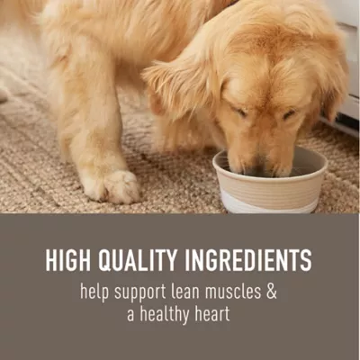 Simply Nourish Original Adult Dry Dog Food - Lamb & Oatmeal - Image 4