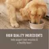 Simply Nourish Original Adult Dry Dog Food - Lamb & Oatmeal image thumbnail 4