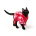 Top Paw® Vday Dog Robe image thumbnail 2