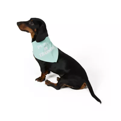 Top Paw® New Puppy in Training Bandana - Image 1