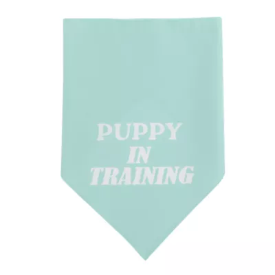 Product Top Paw® New Puppy in Training Bandana