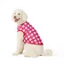 Top Paw® Plaid Sweater image thumbnail 1