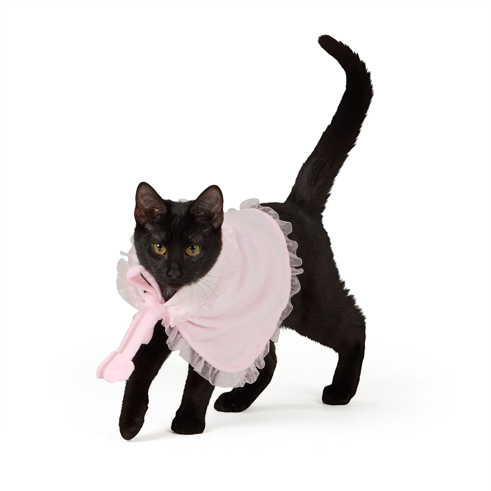 Whisker City® Valentine's Cape
