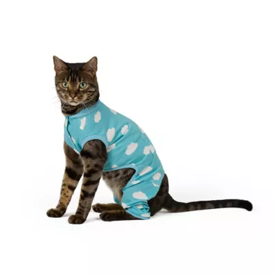 Product Top Paw® New Puppy Cloud Pajamas