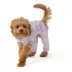 Top Paw® New Puppy Rainbow Pajamas image thumbnail 1