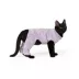Top Paw® New Puppy Rainbow Pajamas image thumbnail 2