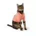 Top Paw® Hoodie image thumbnail 2