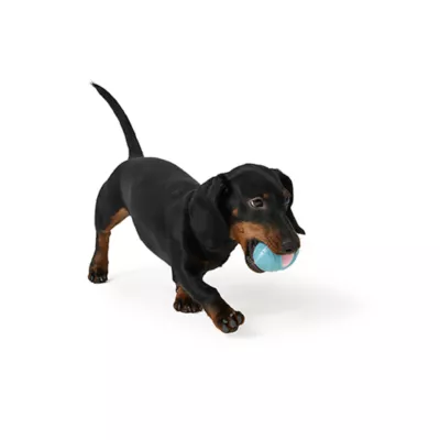 Product Joyhound® Puppy Football Dog Toy