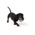 Joyhound® Puppy Football Dog Toy image thumbnail 2