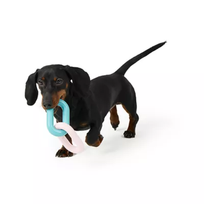 Product Joyhound® Puppy Link Dog Toy