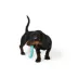 Joyhound® Puppy Ridge Rig Dog Toy image thumbnail 2