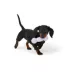 Joyhound® Puppy Dumbbell Dog Toy image thumbnail 2