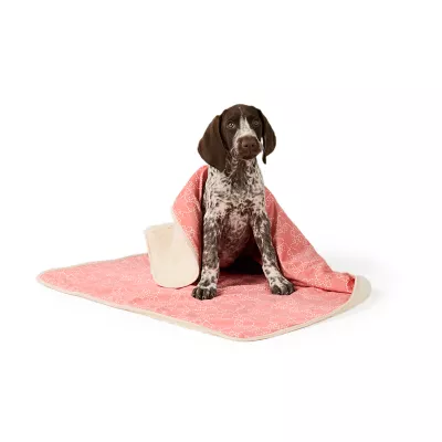 Top Paw® Dog Blanket - Image 2