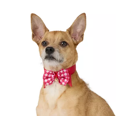 Product Whisker City® Valentine's Cat Bow