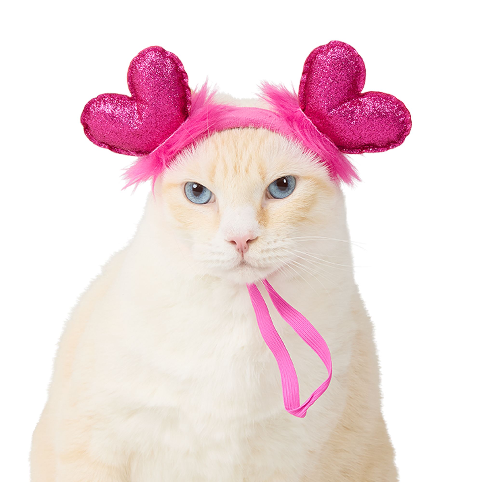 Whisker City® Valentine's Cat Headband