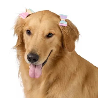 Product Top Paw® Dreamy Beginnings Hair Bow