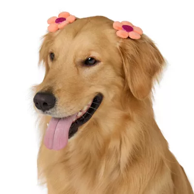 Product Top Paw® Dreamy Beginnings Flower Clips