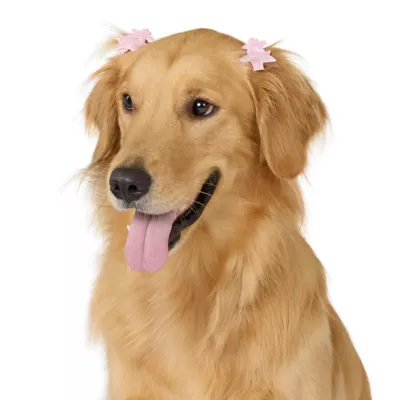 Product Top Paw® Dreamy Beginnnings Star Clip