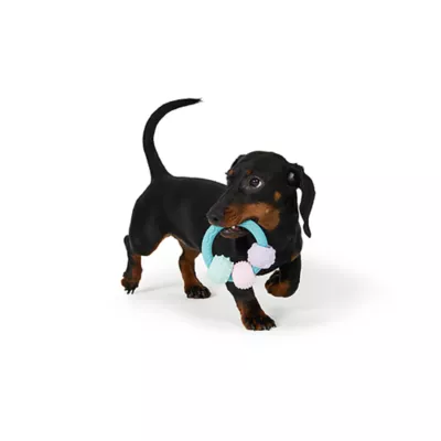 Product Joyhound® Puppy Ring Dog Toy